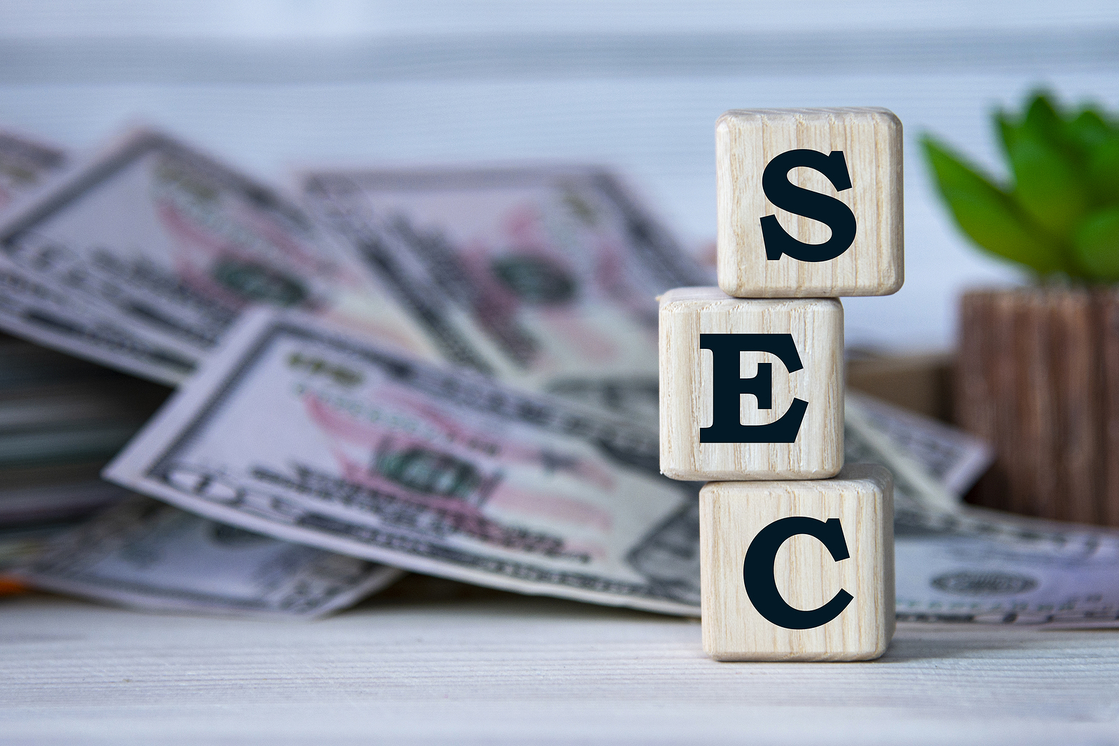 sec-securities-and-exchange.jpg